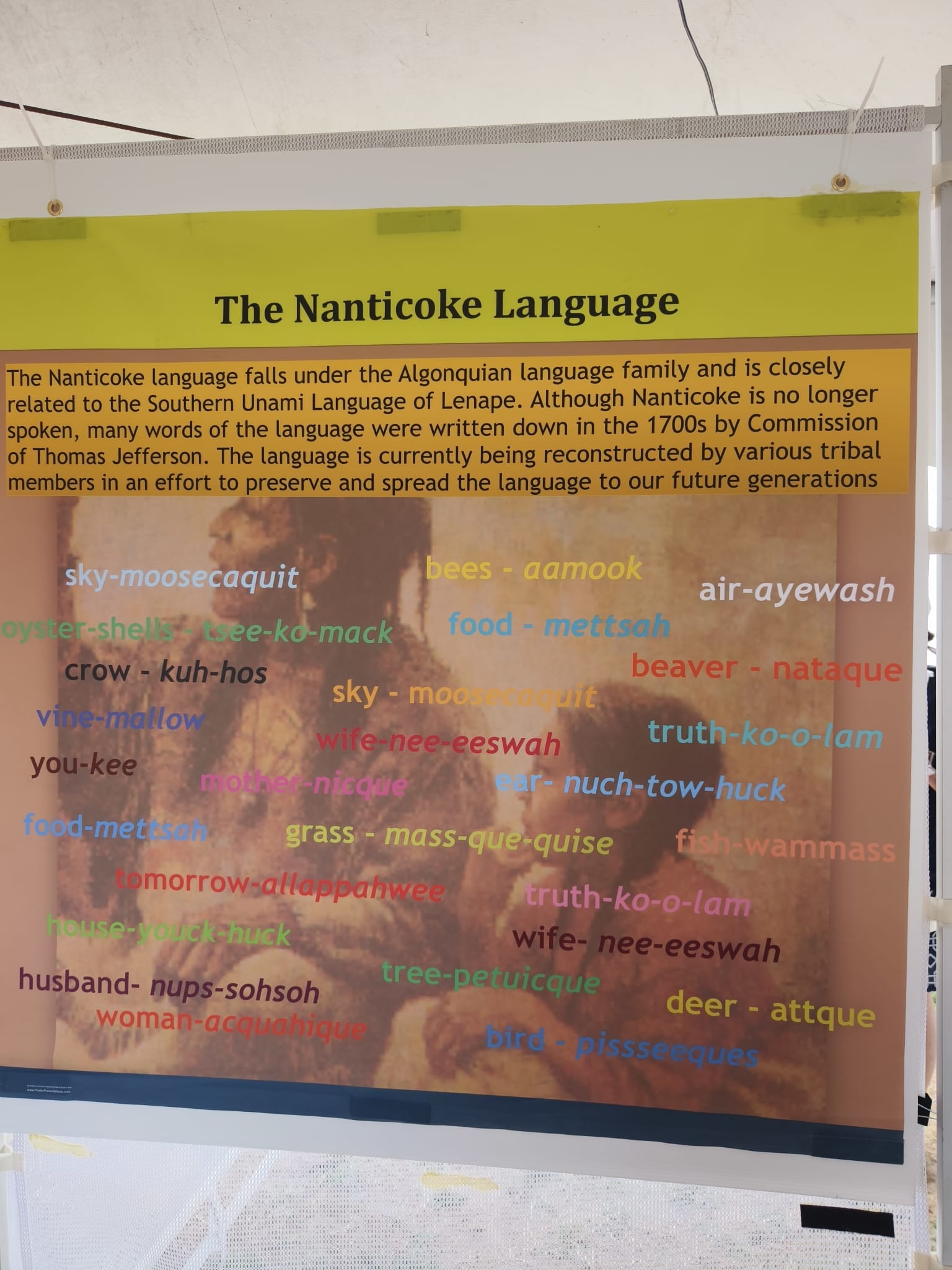 Students studying exhibit panels