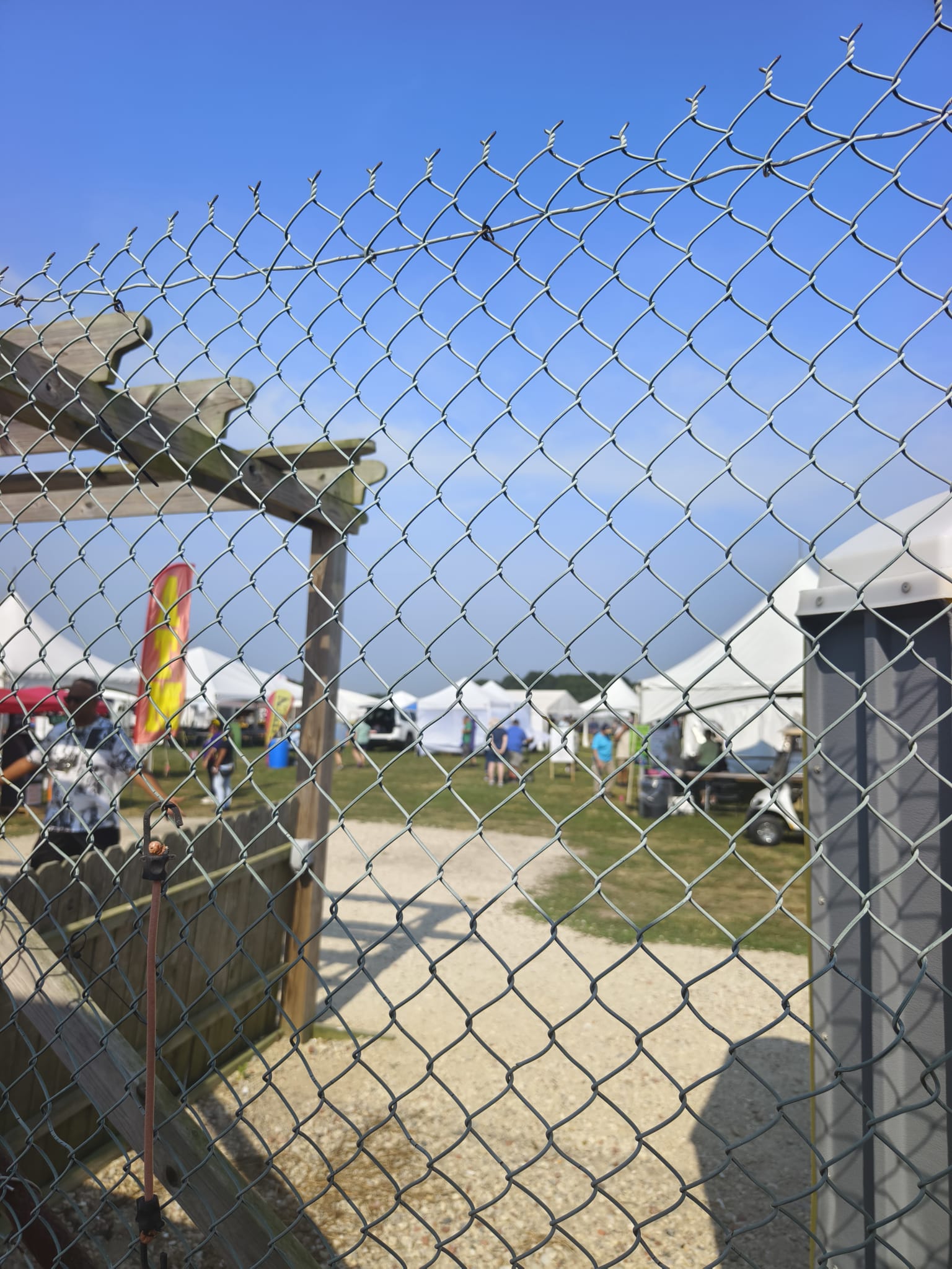 Vivian working alongside tribal volunteers at the check-in station